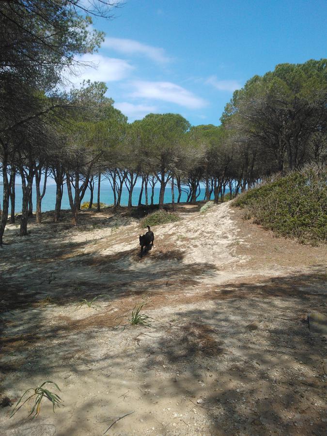 Casa Tanaunella Holiday home *